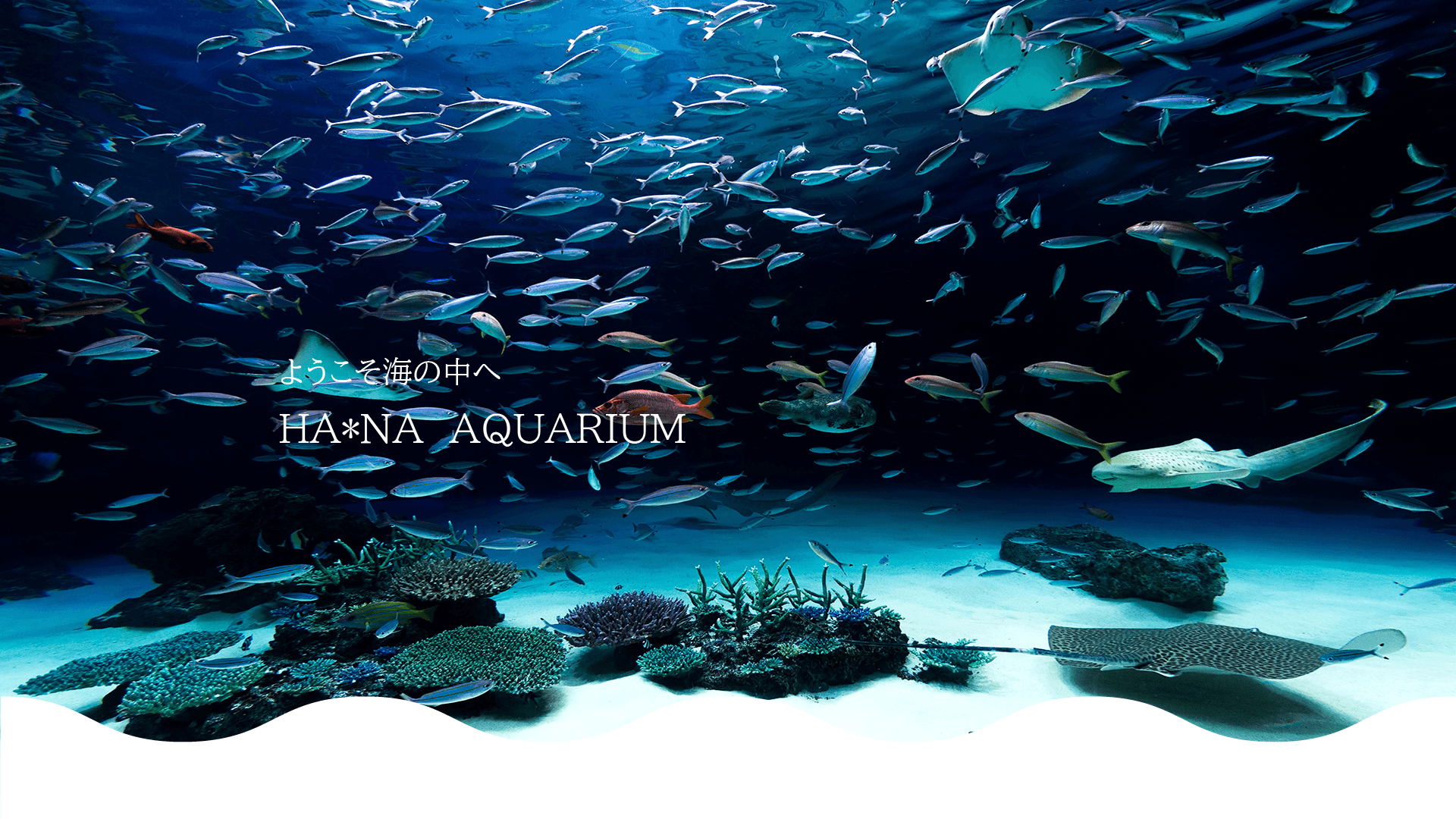 ようこそ海の中へ HA*NA AQUARIUM